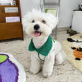 Load image into Gallery viewer, Pet Corduroy Reversible Vest - WizzPaw