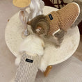 Load image into Gallery viewer, Pet Corduroy Vest - WizzPaw