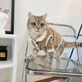 Load image into Gallery viewer, Pet Corduroy Vest - WizzPaw
