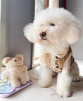 Load image into Gallery viewer, Pet Corduroy Vest - WizzPaw