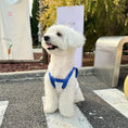 Load image into Gallery viewer, Pet Cotton Printed Tank Top - WizzPaw