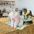 Load image into Gallery viewer, Pet Cotton Vest Jacket - WizzPaw