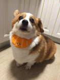 Load image into Gallery viewer, Pet Croissant Bandana - WizzPaw