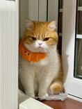 Load image into Gallery viewer, Pet Croissant Bandana - WizzPaw