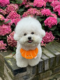 Load image into Gallery viewer, Pet Croissant Bandana - WizzPaw