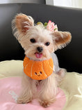 Load image into Gallery viewer, Pet Croissant Bandana - WizzPaw