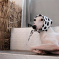 Load image into Gallery viewer, Pet Dalmatian Series Double-Sided Cotton Bandana - WizzPaw
