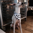 Load image into Gallery viewer, Pet Dalmatian Series Double-Sided Cotton Bandana - WizzPaw