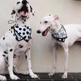 Load image into Gallery viewer, Pet Dalmatian Series Double-Sided Cotton Drool Cloth - WizzPaw