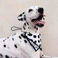 Load image into Gallery viewer, Pet Dalmatian Series Double-Sided Cotton Drool Cloth - WizzPaw