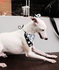 Load image into Gallery viewer, Pet Dalmatian Series Double-Sided Cotton Drool Cloth - WizzPaw