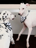 Load image into Gallery viewer, Pet Dalmatian Series Double-Sided Cotton Drool Cloth - WizzPaw