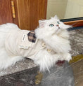 Load image into Gallery viewer, Pet Denim Overalls - WizzPaw