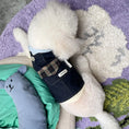 Load image into Gallery viewer, Pet Denim Overalls - WizzPaw