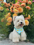 Load image into Gallery viewer, Pet Elephant Bandana-Blue - WizzPaw