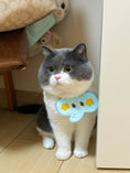 Load image into Gallery viewer, Pet Elephant Bandana-Blue - WizzPaw