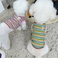 Load image into Gallery viewer, Pet Embroidered Colorful Striped Vest - WizzPaw