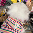 Load image into Gallery viewer, Pet Embroidered Colorful Striped Vest - WizzPaw