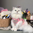 Load image into Gallery viewer, Pet Embroidered Colorful Striped Vest - WizzPaw