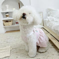 Load image into Gallery viewer, Pet Embroidered Strap Dress - WizzPaw