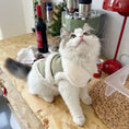Load image into Gallery viewer, Pet Faux Fur-Lined Vest Jacket - WizzPaw