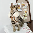 Load image into Gallery viewer, Pet Faux Fur-Lined Vest Jacket - WizzPaw