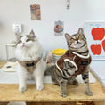 Load image into Gallery viewer, Pet Fleece-Lined Back-Button Vest - WizzPaw