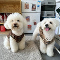 Load image into Gallery viewer, Pet Fleece-Lined Back-Button Vest - WizzPaw