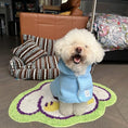 Load image into Gallery viewer, (LightSkyBlue)