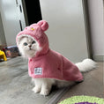 Load image into Gallery viewer, (HotPink)