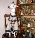 Load image into Gallery viewer, Pet Fleece-Lined Warm Bell Sleeve Coat - WizzPaw