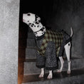 Load image into Gallery viewer, Pet Fleece-Lined Warm Bell Sleeve Coat - WizzPaw