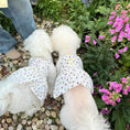 Load image into Gallery viewer, Pet Floral Dress - WizzPaw