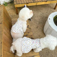 Load image into Gallery viewer, Pet Floral Dress - WizzPaw
