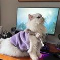 Load image into Gallery viewer, Pet Floral Fleece Vest - WizzPaw