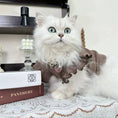 Load image into Gallery viewer, Pet Flutter Sleeve Knit Vest - WizzPaw