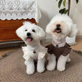 Load image into Gallery viewer, Pet Flutter Sleeve Knit Vest - WizzPaw