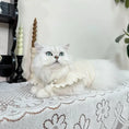 Load image into Gallery viewer, Pet Flutter Sleeve Knit Vest - WizzPaw
