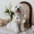 Load image into Gallery viewer, Pet Flutter Sleeve Knit Vest - WizzPaw