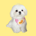 Load image into Gallery viewer, Pet Fried Egg Bandana - WizzPaw
