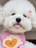 Load image into Gallery viewer, Pet Fried Egg Bandana - WizzPaw