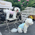 Load image into Gallery viewer, Pet Glow-in-the-Dark Straps - WizzPaw