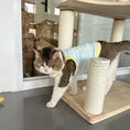 Load image into Gallery viewer, Pet Glow-in-the-Dark Straps - WizzPaw
