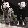 Load image into Gallery viewer, Pet High-Collar Waterproof Raincoat and Windbreaker - WizzPaw