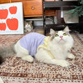 Load image into Gallery viewer, Pet Home Cami Vest - WizzPaw