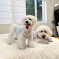 Load image into Gallery viewer, Pet Home Cami Vest - WizzPaw