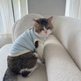 Load image into Gallery viewer, Pet Home Cami Vest - WizzPaw