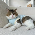 Load image into Gallery viewer, Pet Home Cami Vest - WizzPaw