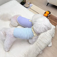 Load image into Gallery viewer, Pet Home Cami Vest - WizzPaw