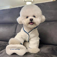 Load image into Gallery viewer, Pet Hotel Style Bathrobe - WizzPaw